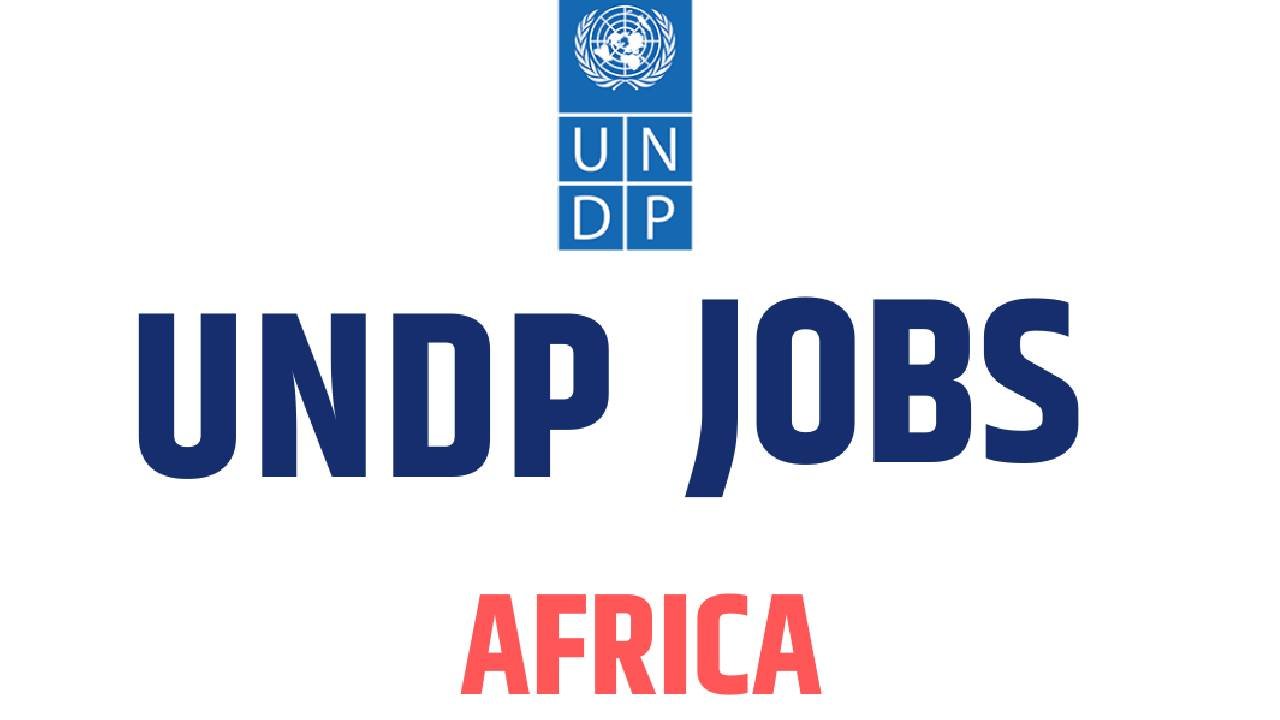 UNDP Africa recruitment ( June 2024) : 64 Open Jobs/Online application