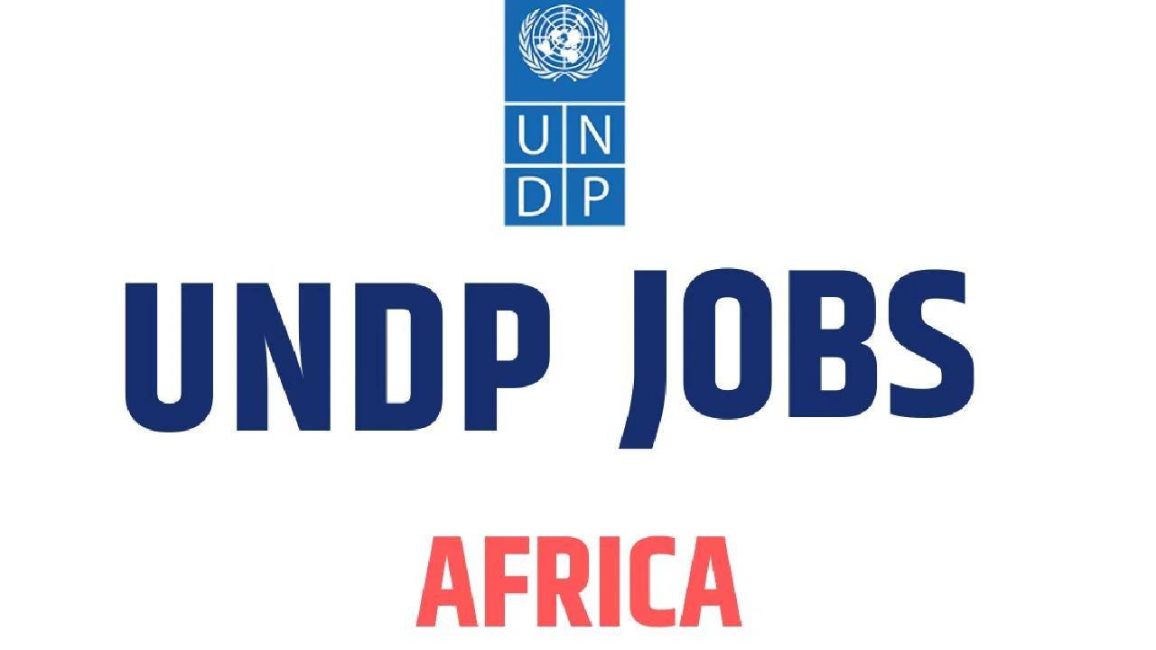 UNDP Africa recruitment ( July 2024) : Open Jobs/Application