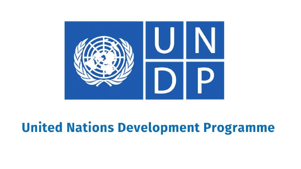 UNDP recruitment ( September 2024) : Open Jobs/Online application